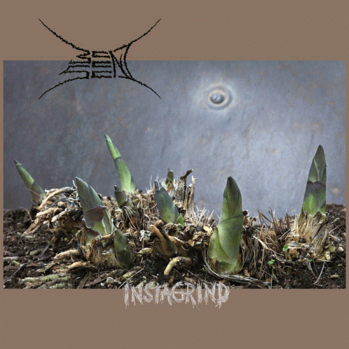 Bent Sea : Instagrind